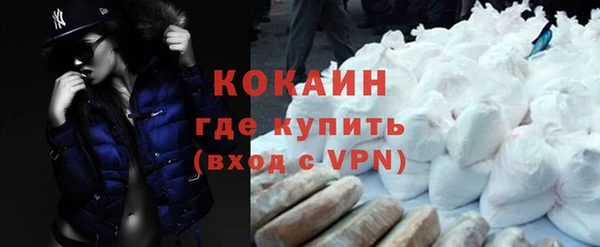 крисы Абаза