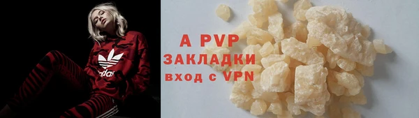 крисы Абаза