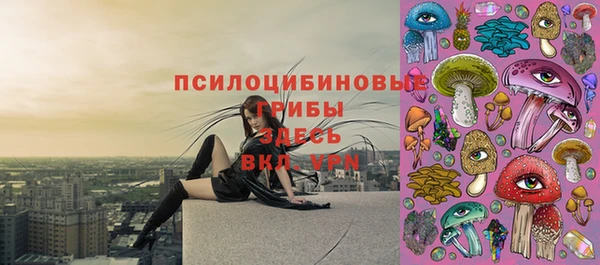 apvp Абдулино